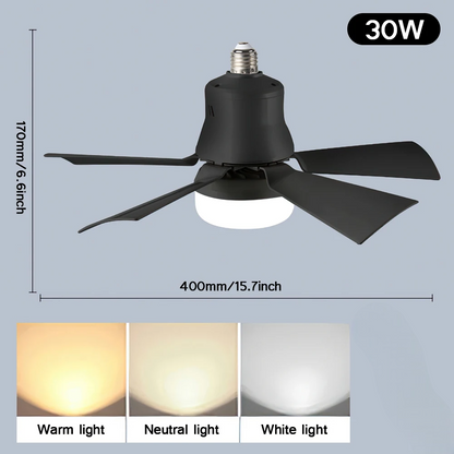 Ceiling Fan with Lamp