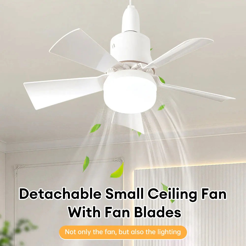 Ceiling Fan with Lamp